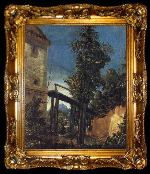 framed  ALTDORFER, Albrecht Landscape with a Footbridge, ta009-2